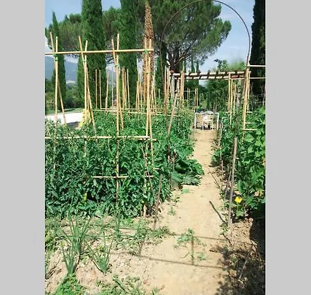 Poggiolo De' Serviti Città della Pieve
